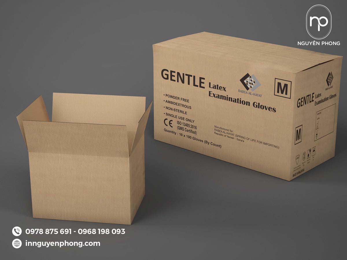 in thùng carton giá rẻ 